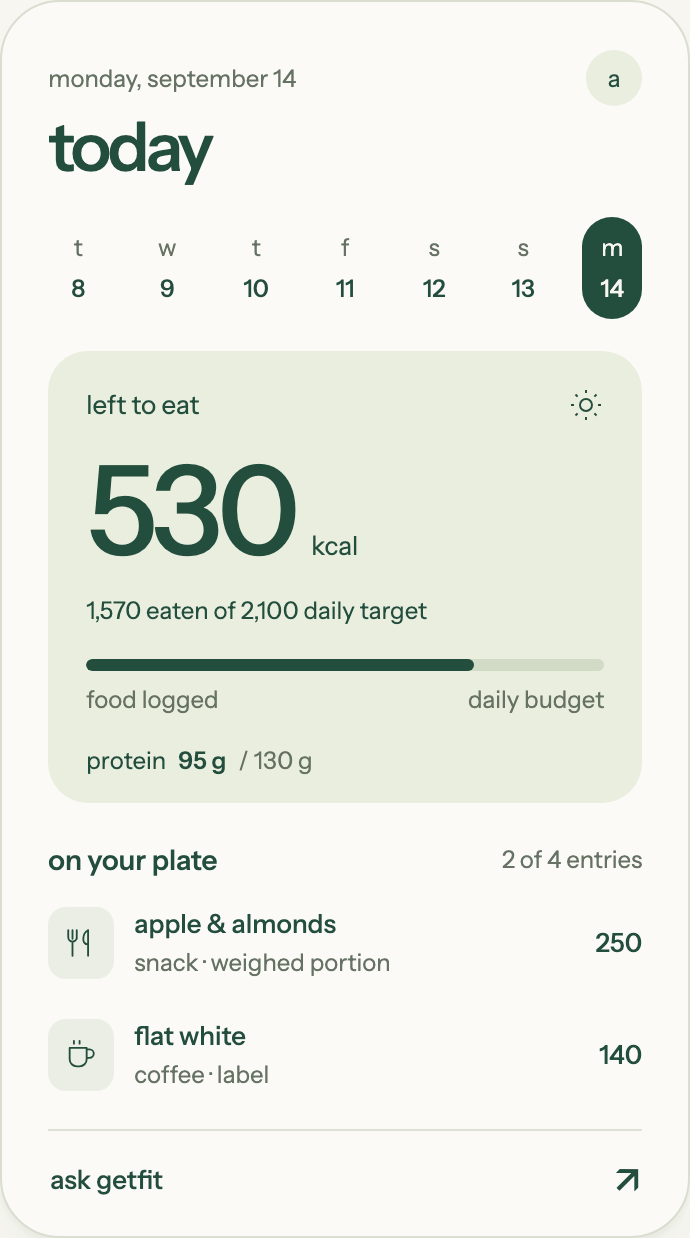GetFit Today screen showing sample calorie, protein, and food tracking data